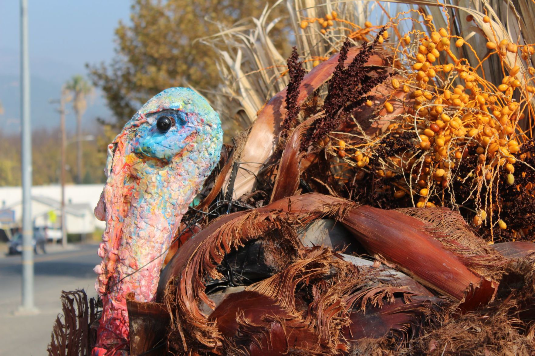 Mystery turkey